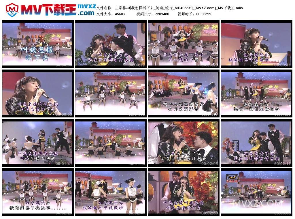 王彩桦-叫我怎样活下去_闽南_流行_MD403819